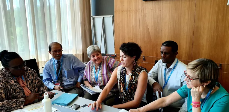 Second rehabilitation 2030 meeting in Geneva, July 2019