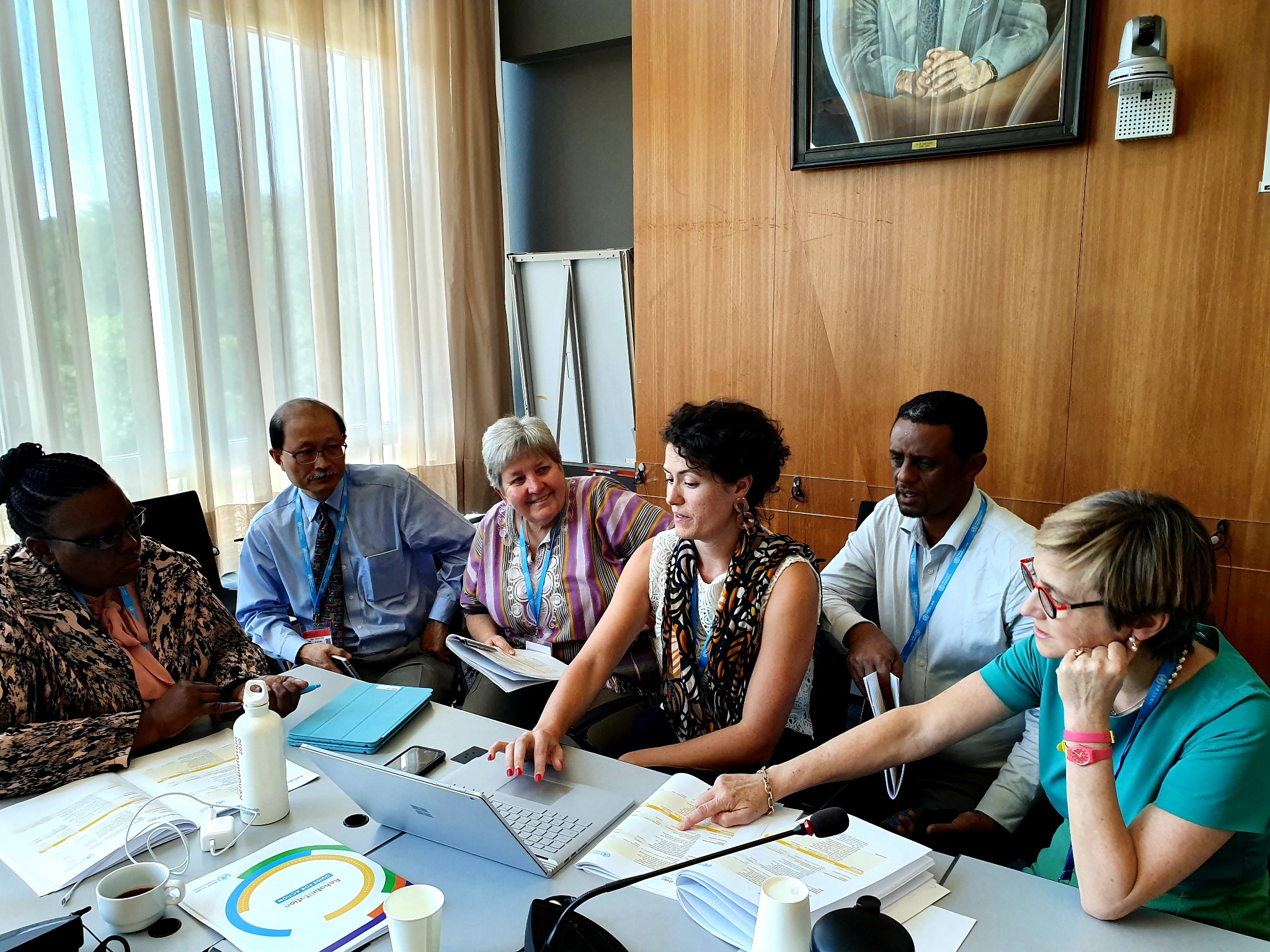 Second rehabilitation 2030 meeting in Geneva, July 2019
