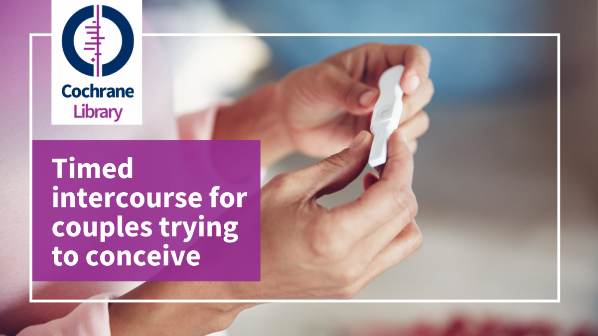timed-intercourse-couples-trying-conceive