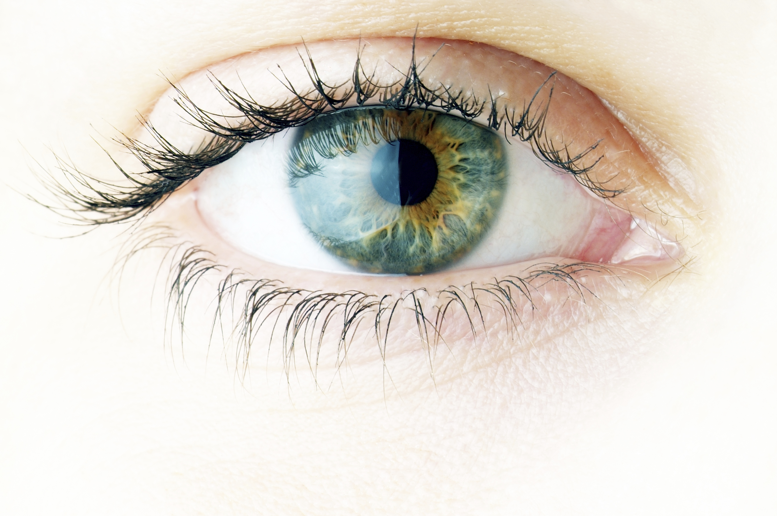 Close-up on an eye