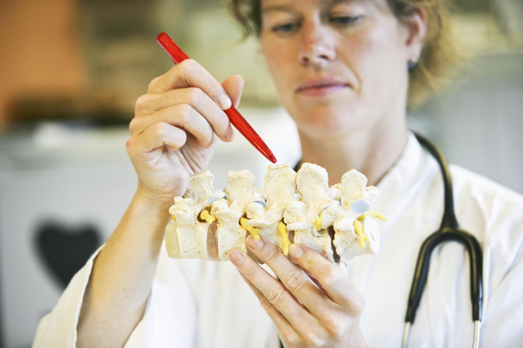 A doctor pointing to a model of a spine