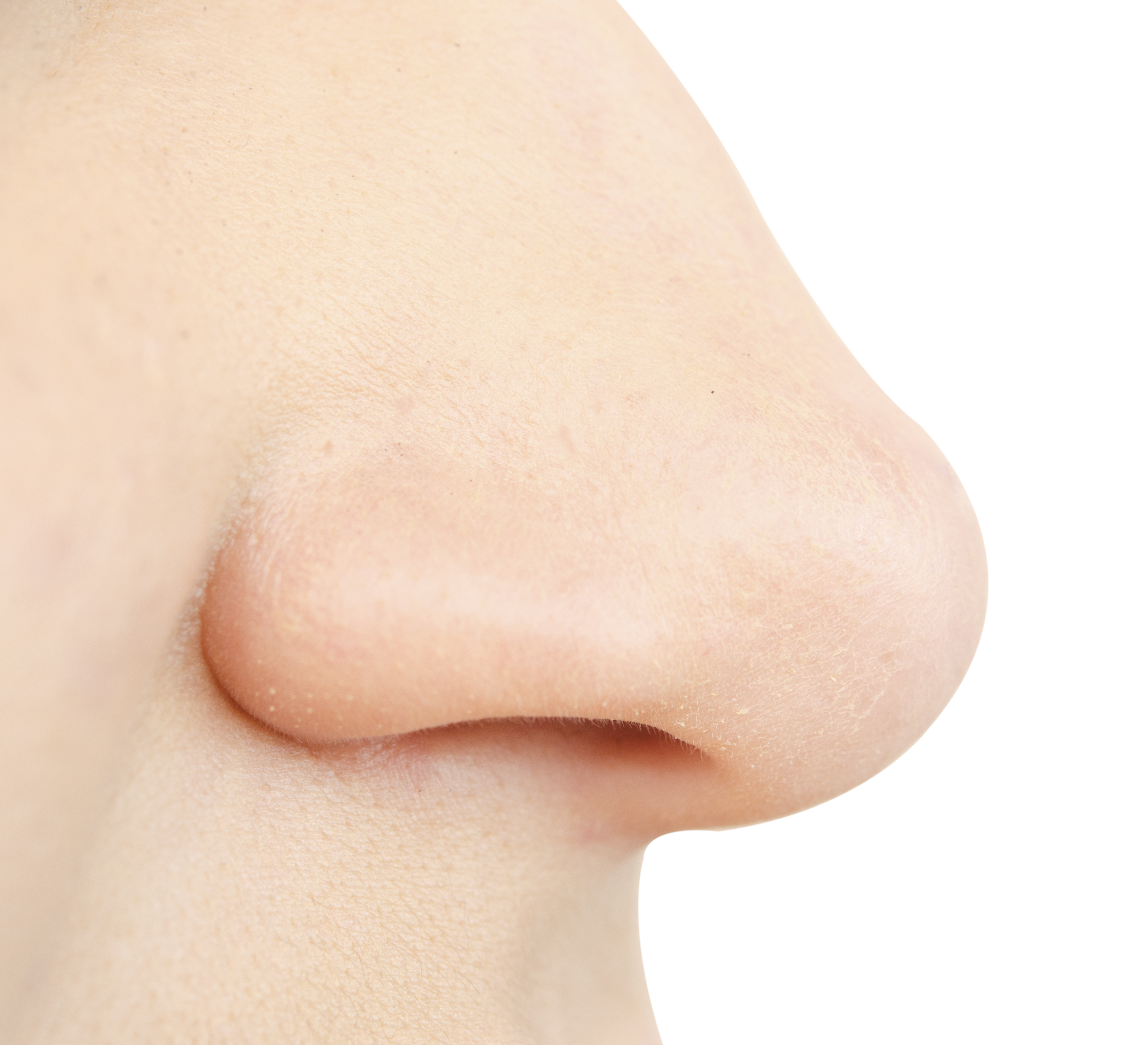 A close-up of a nose